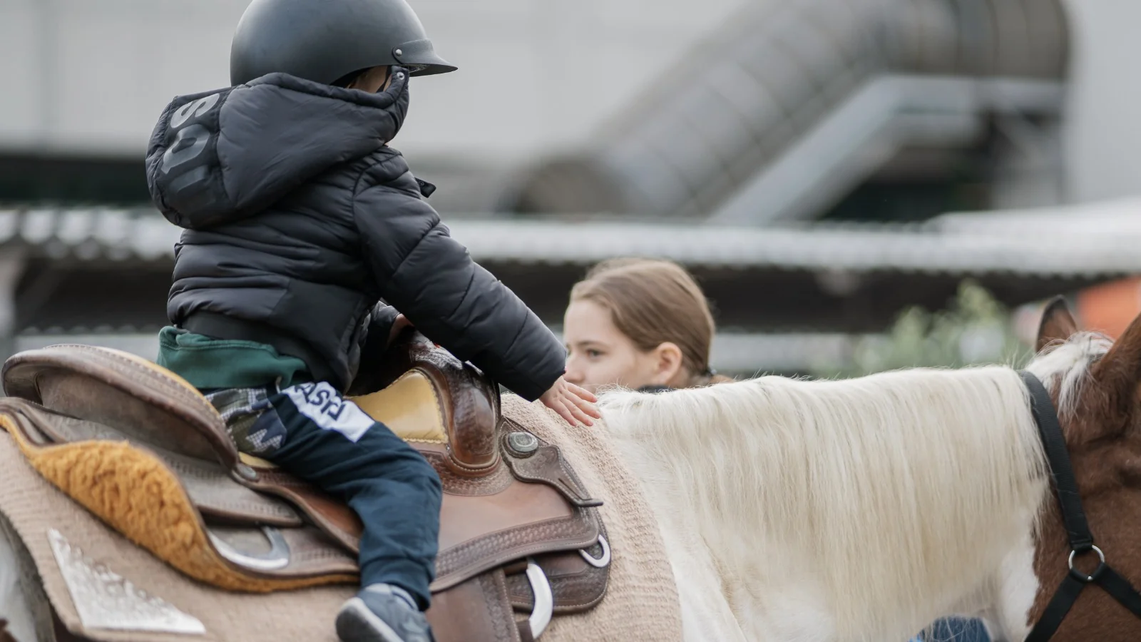Scopri di più sull'articolo Fieracavalli On Tour: tra tartufi e turismo equestre, la kermesse approda a Ferrara di Monte Baldo